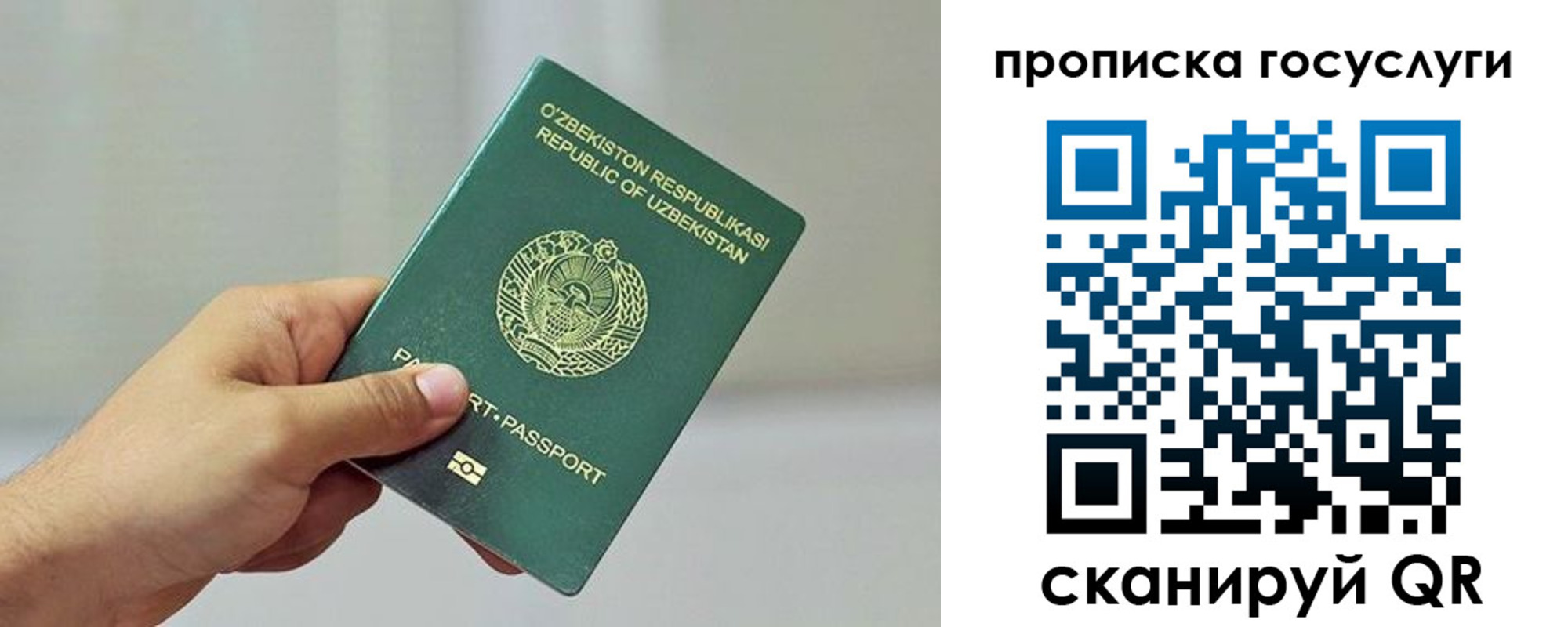 временная регистрация адрес в Новомосковске